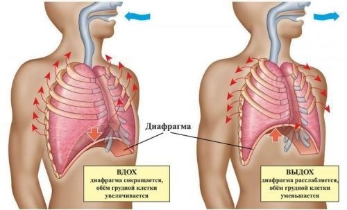 гипервентиляция легких во время секса